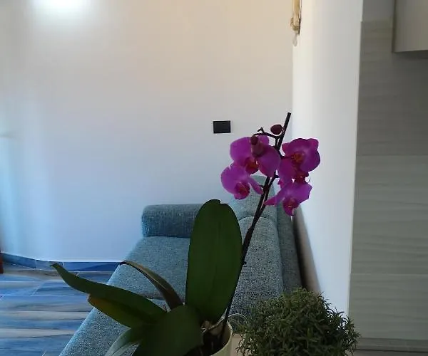 Sailor's House Апартаменты