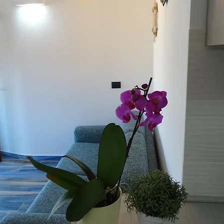 Sailor's House Apartamento